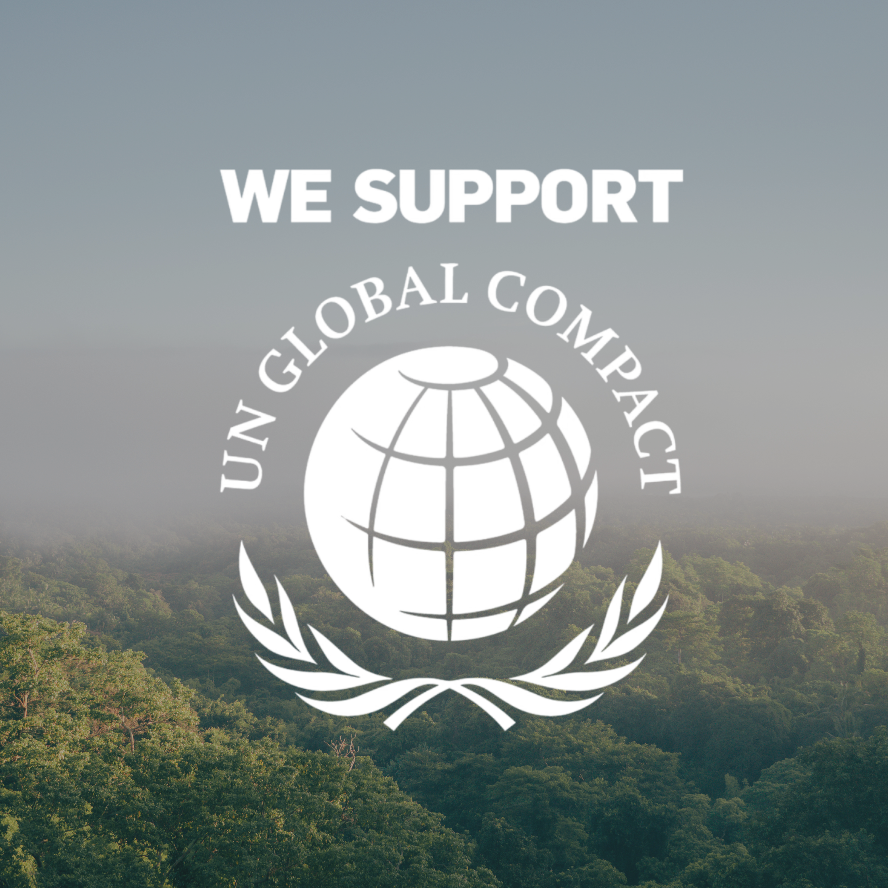 UNGC Logo