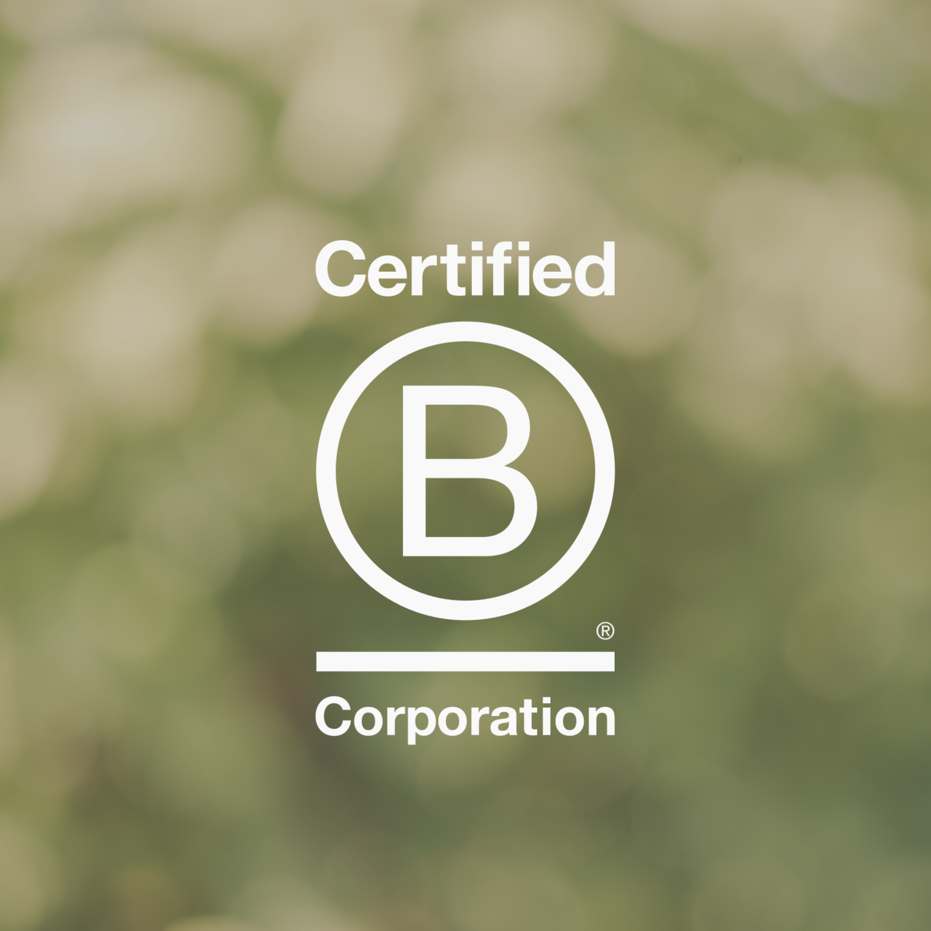 B Corp Logo