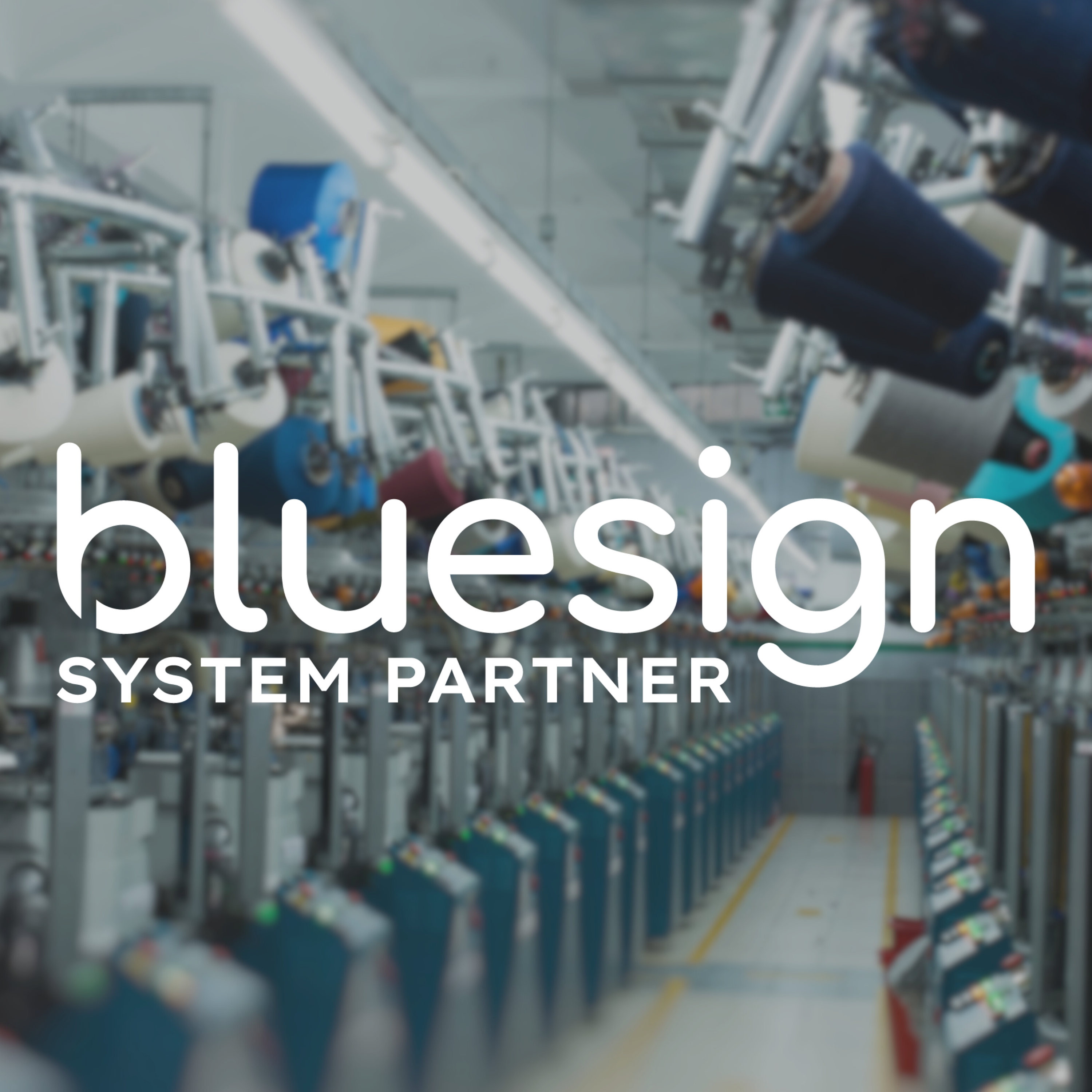 Bluesign Logo